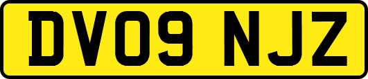 DV09NJZ