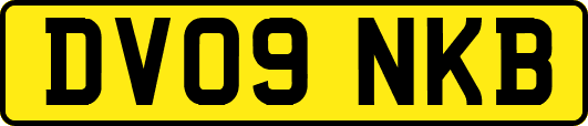 DV09NKB