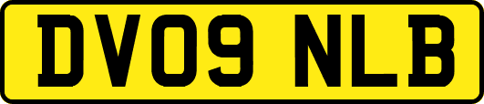 DV09NLB