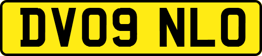 DV09NLO