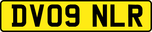 DV09NLR