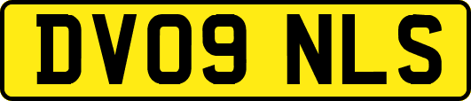 DV09NLS