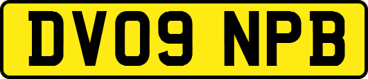 DV09NPB