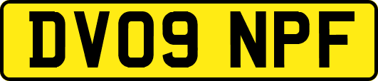 DV09NPF