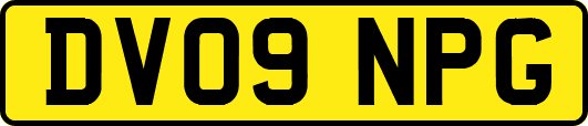 DV09NPG