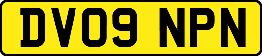 DV09NPN