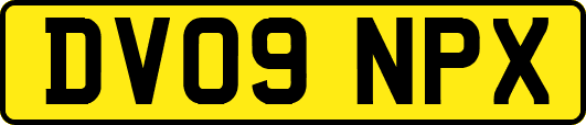 DV09NPX