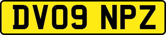 DV09NPZ