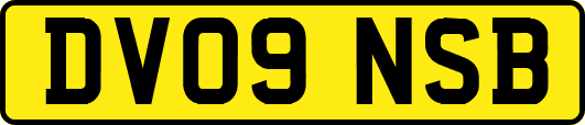 DV09NSB