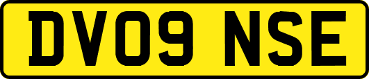 DV09NSE