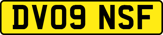 DV09NSF