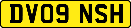 DV09NSH