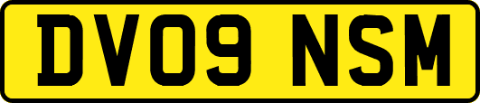 DV09NSM