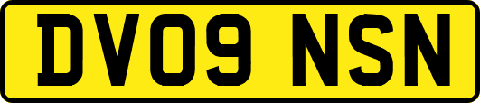 DV09NSN