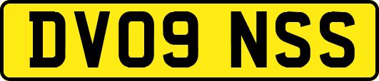 DV09NSS