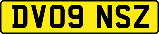 DV09NSZ