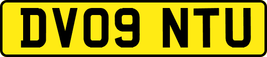 DV09NTU