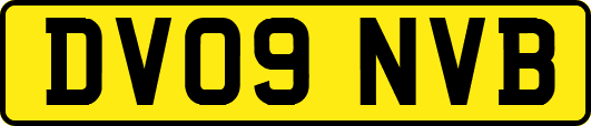 DV09NVB