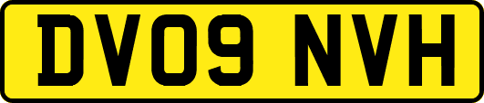 DV09NVH
