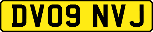 DV09NVJ