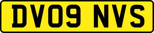 DV09NVS