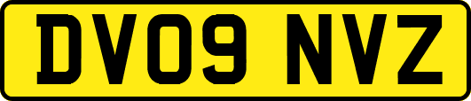 DV09NVZ