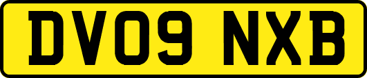 DV09NXB