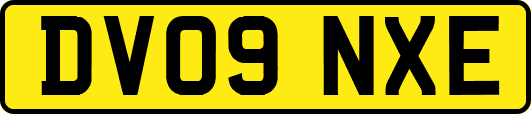 DV09NXE