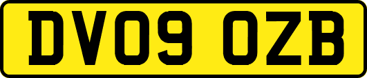 DV09OZB