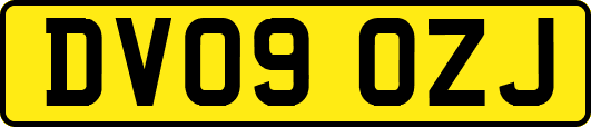 DV09OZJ