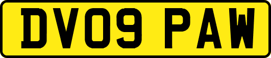 DV09PAW
