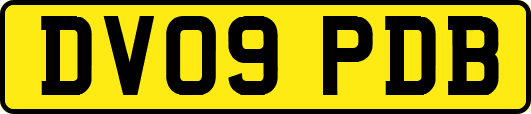 DV09PDB