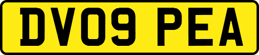 DV09PEA