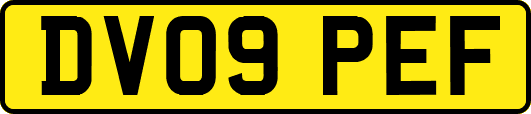 DV09PEF