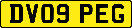 DV09PEG