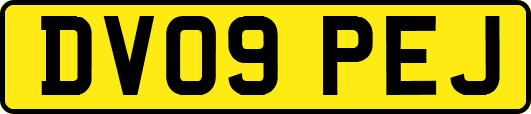 DV09PEJ