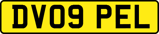 DV09PEL