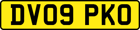 DV09PKO
