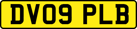 DV09PLB