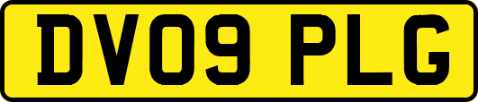 DV09PLG