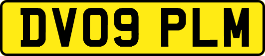 DV09PLM