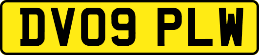 DV09PLW