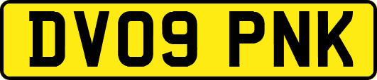DV09PNK