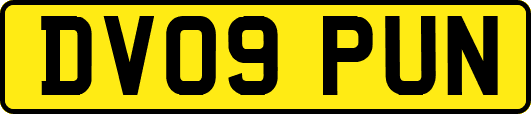 DV09PUN
