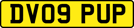 DV09PUP