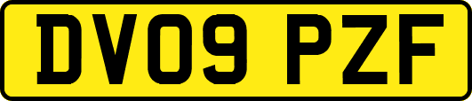 DV09PZF
