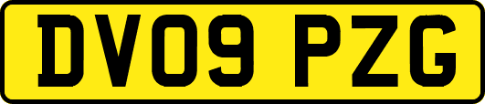 DV09PZG