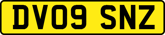 DV09SNZ