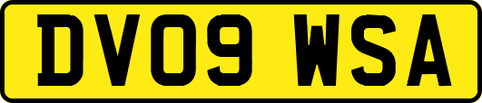 DV09WSA