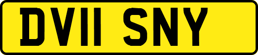 DV11SNY